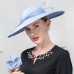 Fashion Elegant Polyester Hats with Feather 1PC Wedding / Party / Evening Headpiece