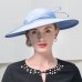 Fashion Elegant Polyester Hats with Feather 1PC Wedding / Party / Evening Headpiece