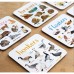 Set of 6 Bird Pun Coasters, Desktop Coaster Bird Square Coaster Set Creative Table Non-slip Tea Coaster