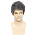 Men's Wigs Short Grey Wig Heat Resistant Synthetic Layered Natural Hair Cosplay Costume Halloween Wigs for Men Male Guy