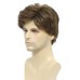 Men's Wigs Short Grey Wig Heat Resistant Synthetic Layered Natural Hair Cosplay Costume Halloween Wigs for Men Male Guy