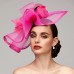 Flowers Feather Net Kentucky Derby Hat Fascinators Headpiece with Feather Floral 1PC Horse Race Ladies Day Melbourne Cup Headpiece