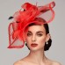 Flowers Feather Net Kentucky Derby Hat Fascinators Headpiece with Feather Floral 1PC Horse Race Ladies Day Melbourne Cup Headpiece