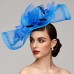 Flowers Feather Net Kentucky Derby Hat Fascinators Headpiece with Feather Floral 1PC Horse Race Ladies Day Melbourne Cup Headpiece