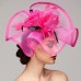 Flowers Feather Net Kentucky Derby Hat Fascinators Headpiece with Feather Floral 1PC Horse Race Ladies Day Melbourne Cup Headpiece