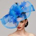 Flowers Feather Net Kentucky Derby Hat Fascinators Headpiece with Feather Floral 1PC Horse Race Ladies Day Melbourne Cup Headpiece