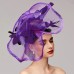 Flowers Feather Net Kentucky Derby Hat Fascinators Headpiece with Feather Floral 1PC Horse Race Ladies Day Melbourne Cup Headpiece