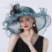 Tulle Hat Fashion Vintage Style Elegant Luxurious Organza Hats Headwear with Bowknot Flower Trim 1 PC Wedding Horse Race Melbourne Cup Ladies Day Headpiece