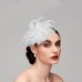 Elegant Feather Net Fascinators Hats with Feathers Fur Floral 1PC Special Occasion Kentucky Derby Horse Race Ladies Day Headpiece