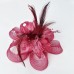 Elegant Feather Net Fascinators Hats with Feathers Fur Floral 1PC Special Occasion Kentucky Derby Horse Race Ladies Day Headpiece