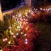 Firefly Garden Lights Solar Outdoor Solar Firefly Lights Outdoor Waterproof Swaying Solar Garden Lights Solar Powered Firefly Lights Swaying Solar Lights Outdoor Waterproof RGB Color warm white 10 LED