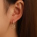 Women's Zircon Drop Earrings Fine Jewelry Classic Heart Precious Stylish Simple Earrings Jewelry White / Gold For Gift Festival 1 Pair