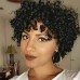 Ombre Short Curly Human Hair Wigs For Black Women Short Curly Wigs Human Hair Highlighted Piano Color Side Part Wigs For Older Women