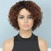 Ombre Short Curly Human Hair Wigs For Black Women Short Curly Wigs Human Hair Highlighted Piano Color Side Part Wigs For Older Women