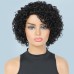 Ombre Short Curly Human Hair Wigs For Black Women Short Curly Wigs Human Hair Highlighted Piano Color Side Part Wigs For Older Women