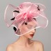 Elegant & Luxurious Feather Linen Rayon Kentucky Derby Hat Fascinators Headpiece with Feather Floral Flower 1PC Melbourne Cup Wedding Horse Race Ladies Day Headpiece