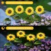 Solar Sunflower Waterproof Garden Lights 10 LED Starburst Swaying Lights Solar Outdoor Lights Garden Decor for BalconyGardenPathwayLawnBackyard