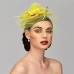 Elegant Fascinators Hats Linen Net Mesh Headpiece Kentucky Derby Hat with Clip Headband Feather Floral Flower Mesh Net Wedding Evening Party Horse Race Ladies Day Headpiece Headwear