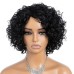 Fashion Short Wavy Human Hair Wigs for Black Women Side Part Wear and Go Glueless Wigs 100% Brazilian Remy Hair Cute Curly Bob Wig Natural Looking