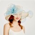 Organza Kentucky Derby Hat / Fascinators / Headdress with Tiered 1 PC Party / Evening / Business / Ceremony / Wedding / Tea Party Headpiece