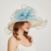 Organza Kentucky Derby Hat / Fascinators / Headdress with Tiered 1 PC Party / Evening / Business / Ceremony / Wedding / Tea Party Headpiece