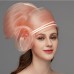 Fascinators Vintage Style Elegant & Luxurious Tulle Hats Headdress with Feather Flower Trim 1 PC Wedding Horse Race Ladies Day Headpiece