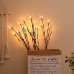 Warm White Led Branch Light, Battery Operated Lighted Branches Vase Filler Willow Twig Lighted Branch 30 Inch 20 LED For Christmas Home Party Decoration Indoor Outdoor Use