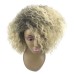 Blonde Wigs for Women Blonde Kinky Curly Wig Afro American Wigs Soft Synthetic Wig for Fashion Women Ombre Wigs