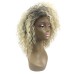 Blonde Wigs for Women Blonde Kinky Curly Wig Afro American Wigs Soft Synthetic Wig for Fashion Women Ombre Wigs