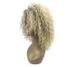 Blonde Wigs for Women Blonde Kinky Curly Wig Afro American Wigs Soft Synthetic Wig for Fashion Women Ombre Wigs