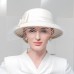 Autumn and Winter 2022 New British Versatile Wool Women's Banquet Mesh Winter Hat