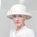 Autumn and Winter 2022 New British Versatile Wool Women's Banquet Mesh Winter Hat