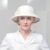 Autumn and Winter 2022 New British Versatile Wool Women's Banquet Mesh Winter Hat