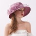 Hats Net Sun Hat Casual Holiday Valentine's Day Valentine Melbourne Cup Fashion With Flower Headpiece Headwear