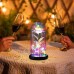 Romantic Rose LED Fairy Light in Glass Dome - Perfect Gift for Mother's Day, Weddings, Valentines Day, and Anniversaries (Batteries Not Included)