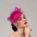 Feathers / Net Fascinators / Hats / Headpiece with Feather / Cap / Flower 1 PC Wedding / Horse Race / Ladies Day Headpiece