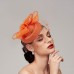 Feathers / Net Fascinators / Hats / Headpiece with Feather / Cap / Flower 1 PC Wedding / Horse Race / Ladies Day Headpiece