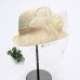 Hats Headwear Straw Hats Tulle Straw Bucket Hat Straw Hat Sun Hat Casual Holiday Melbourne Cup Vintage Style Elegant With Feather Lace Headpiece Headwear