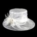 Organza Kentucky Derby Hat / Hats with Sash / Ribbon 1 Piece Wedding / Special Occasion / Casual Headpiece