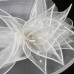 Organza Kentucky Derby Hat / Hats with Sash / Ribbon 1 Piece Wedding / Special Occasion / Casual Headpiece