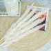 15pcs White Pampas Grassland, 6.69/17.72inch Natural Dry Pampas Grass Branches Decoration Home Kitchen Garden Party Shoot Flower Arrangement Vase Decoration (White)