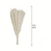 15pcs White Pampas Grassland, 6.69/17.72inch Natural Dry Pampas Grass Branches Decoration Home Kitchen Garden Party Shoot Flower Arrangement Vase Decoration (White)