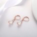 Women's Drop Earrings Fine Jewelry Classic Drop Elegant Stylish Earrings Jewelry Rose Gold / White / Pink For Gift Festival 1 Pair