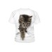 Kids Girls' 3D Cat T shirt Tee Short Sleeve Cat Graphic Animal Rainbow Children Tops Active Cute 3-12 Years