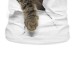 Kids Girls' 3D Cat T shirt Tee Short Sleeve Cat Graphic Animal Rainbow Children Tops Active Cute 3-12 Years