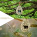 Hummingbird House, Bird's Nest Made Of Straw,Ecological Bird House,Hanging Bird 's Nest Outside,Outdoor Bird's Nest