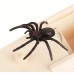 Spider Prank Box, Scary Wooden Box Spider Spoof Creative Toys, Halloween Prank Toys Christmas Gift