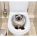 Wall Mural 3D Wall Art cat Wall Poster Toilet Stickers 3D cat Wall Stickers cat Decals cat Stickers cat Toilet Girls Bedroom Toilet Decor cat Wall Decals Notebook Poster