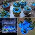 100Pcs Garden Decor Luminous Stones Glow In Dark Decorative Pebbles Pebble Rocks Outdoor Fish Tank Aquarium Decorations