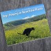 2024 Calendar - Dogs Pooping in Beautiful Places Wall Calendar January 2024 from December, Funny Wall Art Gag Humor Gift Prank Calendar, Gifts for Friends